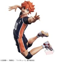 HAIKYU!! posing figure Shoyo Hinata
