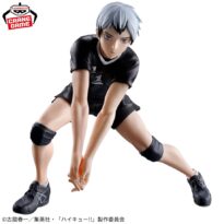 HAIKYU!! posing figure Shinsuke Kita